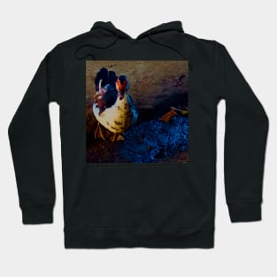 Duck Walking on Mud Ground Hoodie